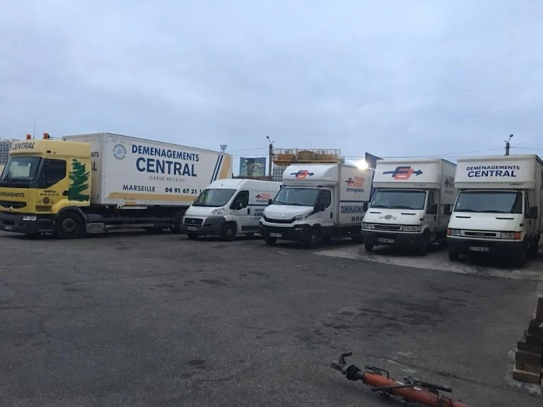 Déménagements Central_1