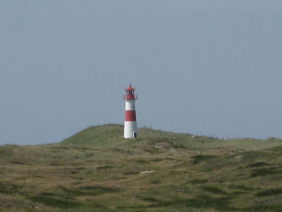 Der Pfennig Gute Umzug_1