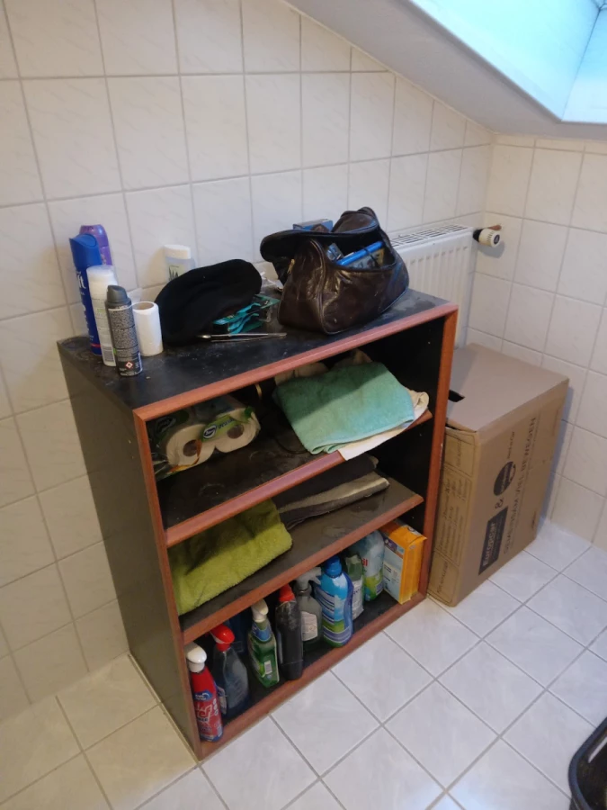 Der Pfennig Gute Umzug_3