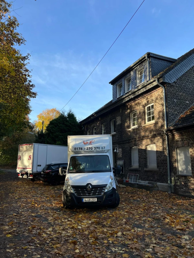 Der Sommer Bär Umzüge_5