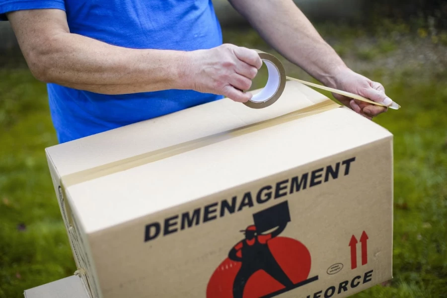 Desnos Déménagement_2