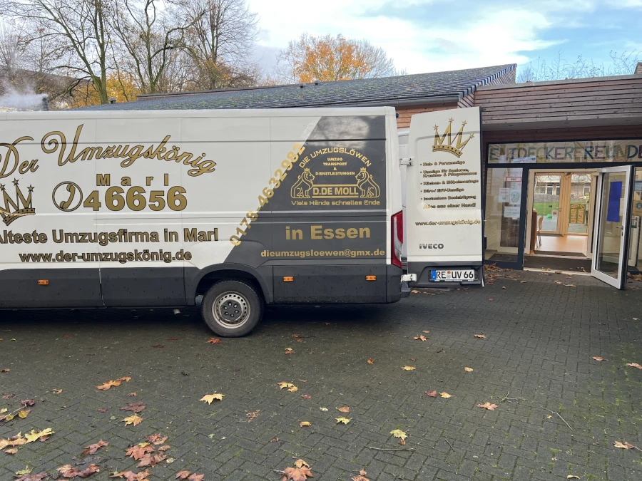 Die Umzugslöwen De Moll_1