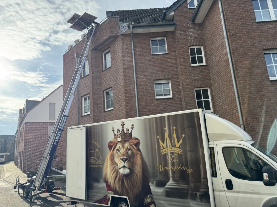 Die Umzugslöwen De Moll_2