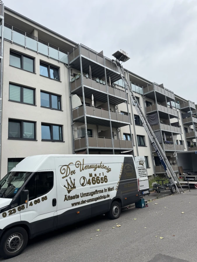 Die Umzugslöwen De Moll_3