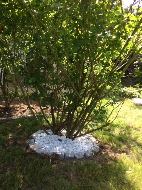 Dienstleistung Wagner_3