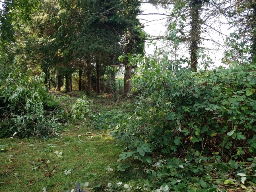 Dienstleistung Wagner_4