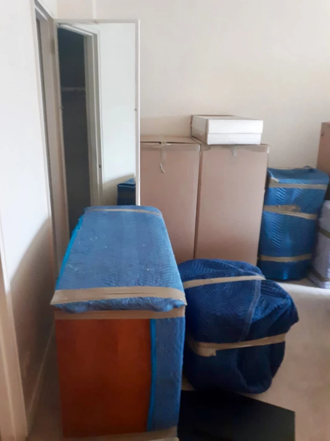 DLight Moving Company_1