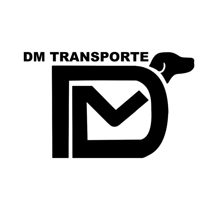DM-Transporte_3