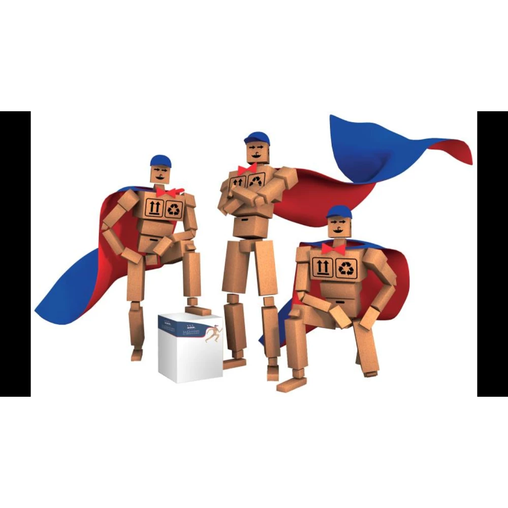 Dolmen Déménagements_5