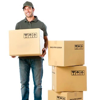 DS Team Transport UG_5