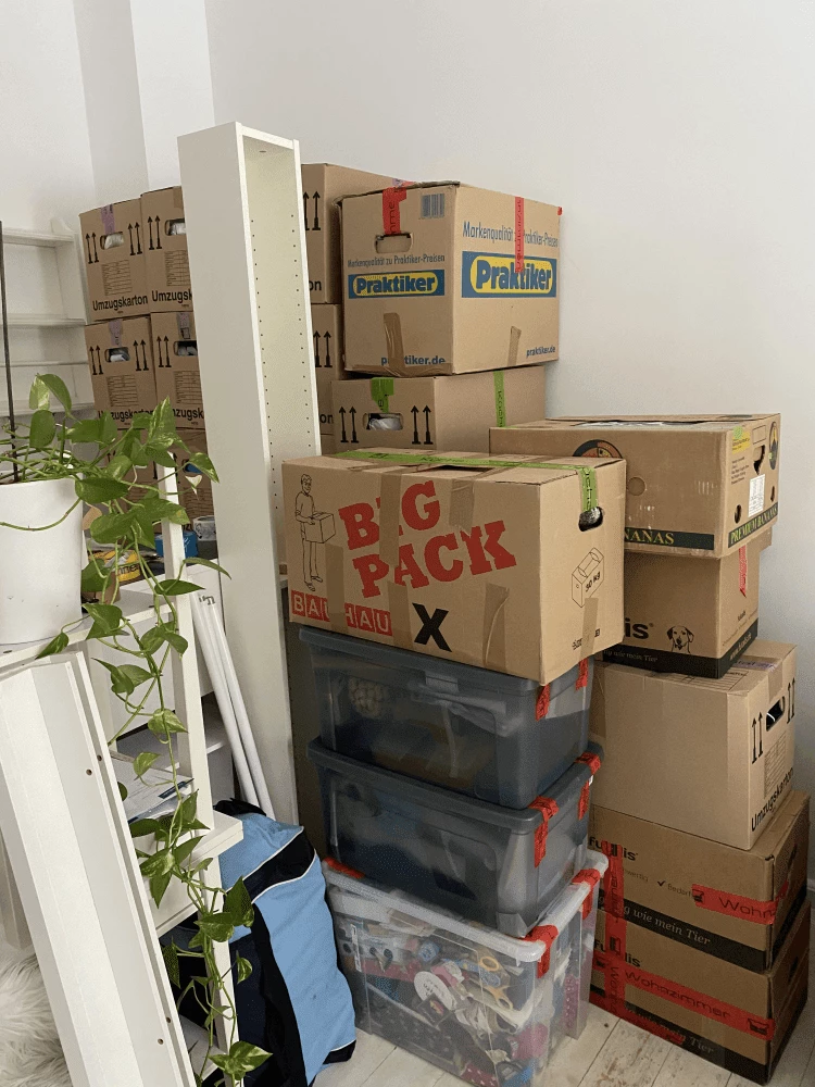 DS-Umzug_1