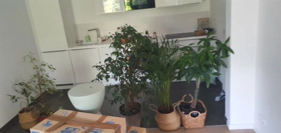 DSAF Déménagement_2