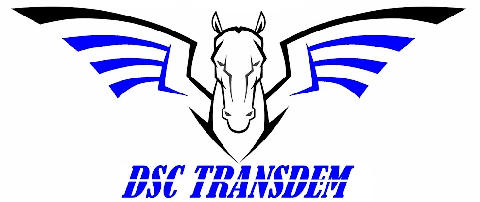 DSC Transdem_3