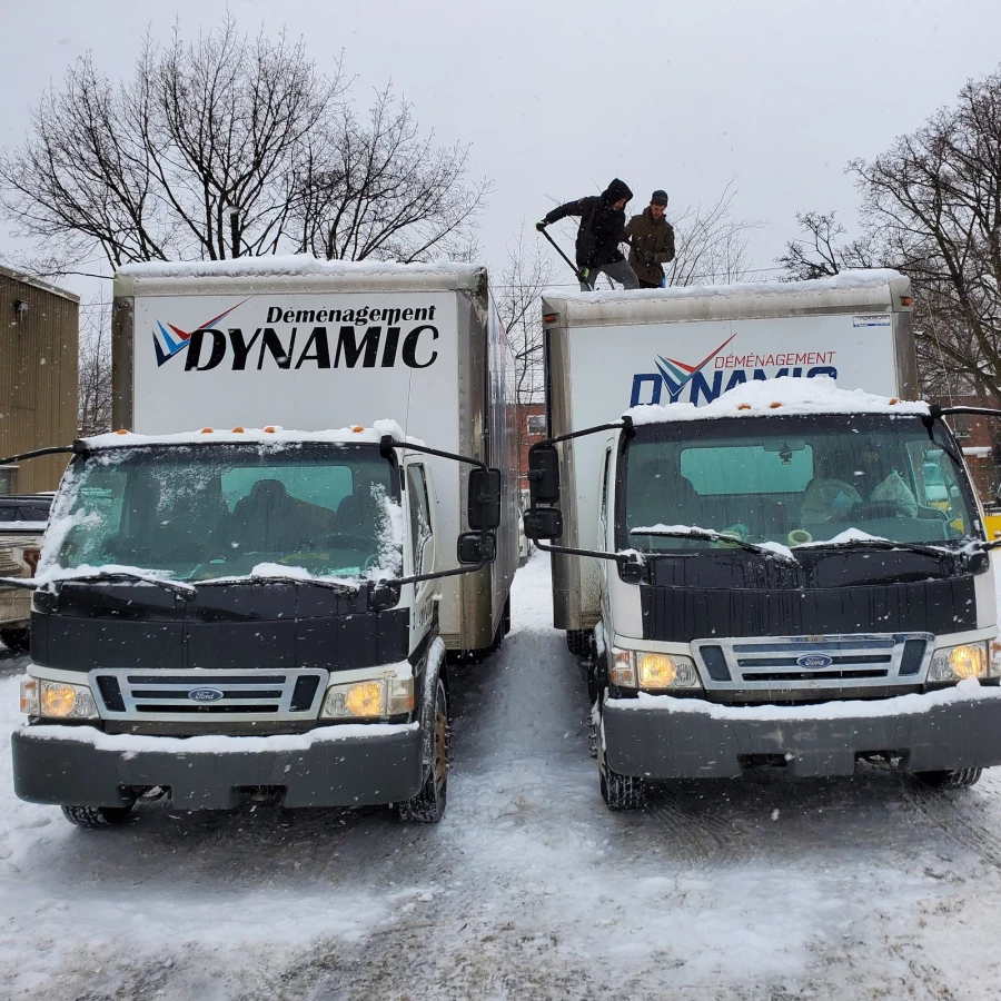 Dynamic Moving Montreal_3