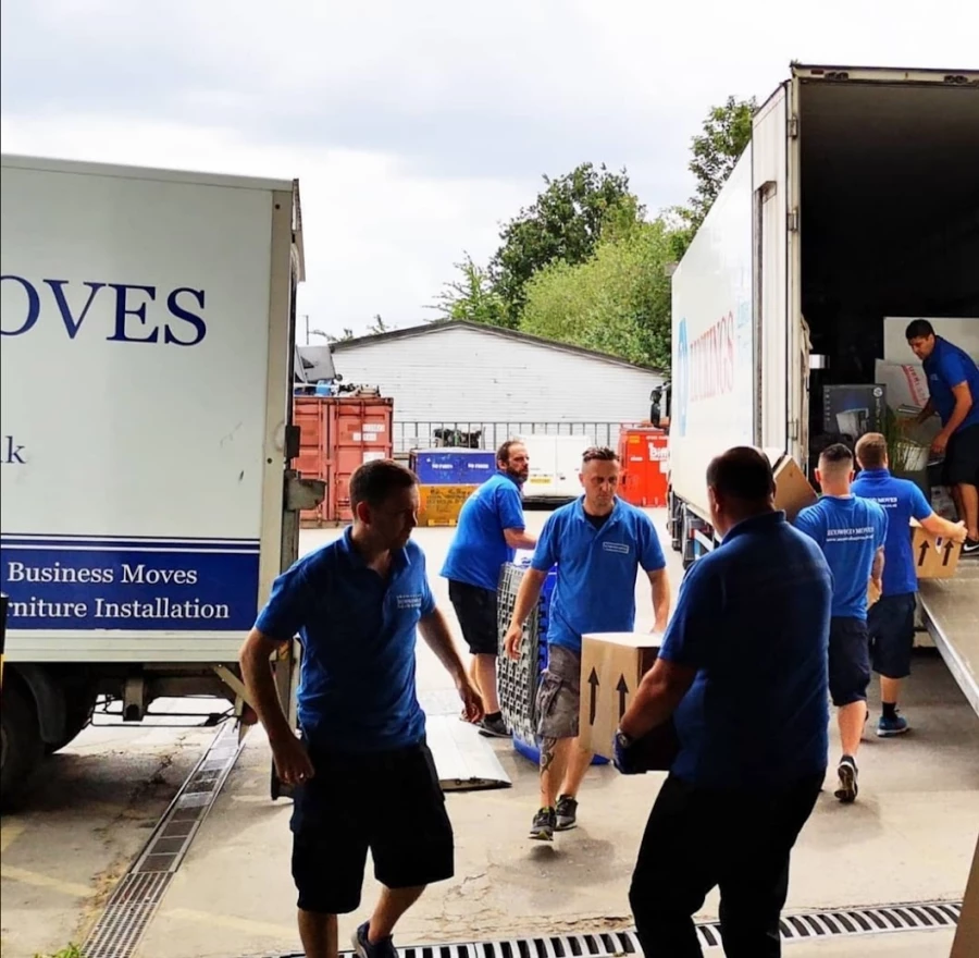 Ecowood Moves_4