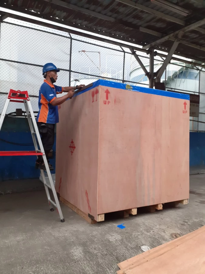 Elang Mas Indocipta_1