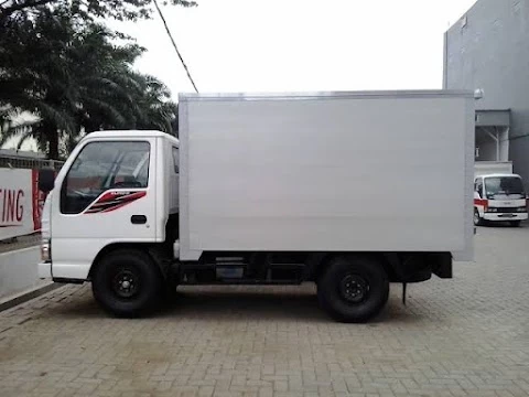 Elang Mas Indocipta_3