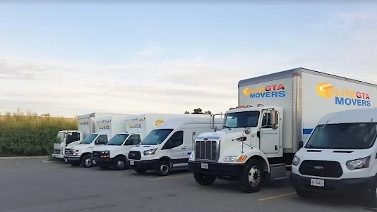 Elite GTA Movers_1
