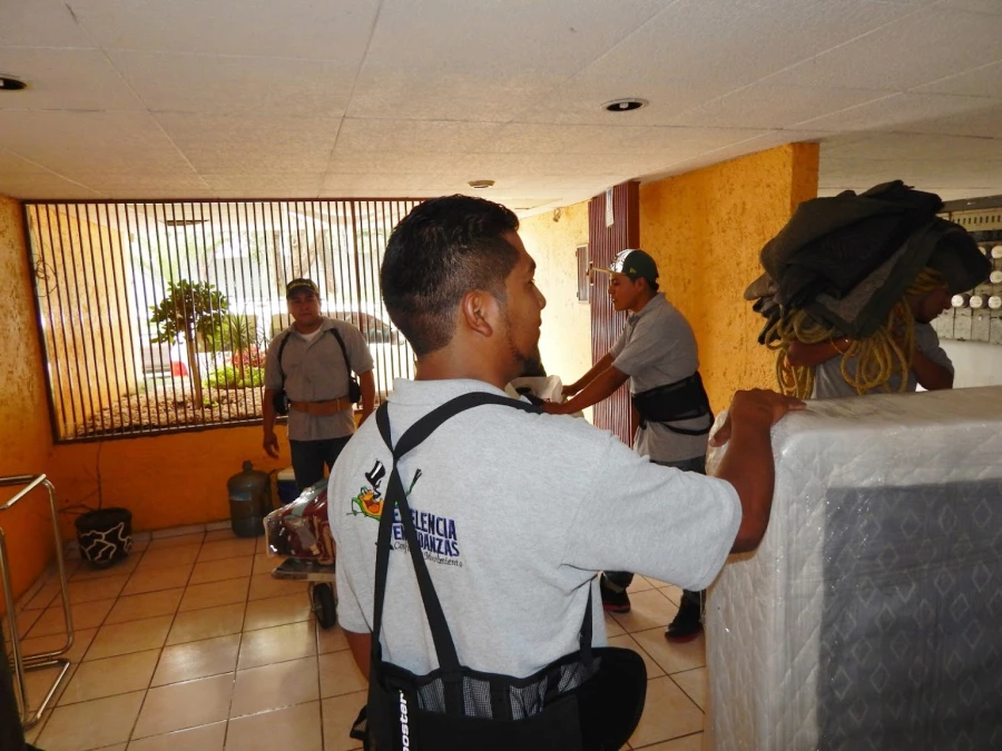 Excelencia en Mudanzas_1