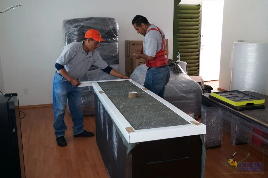 Excelencia en Mudanzas_3