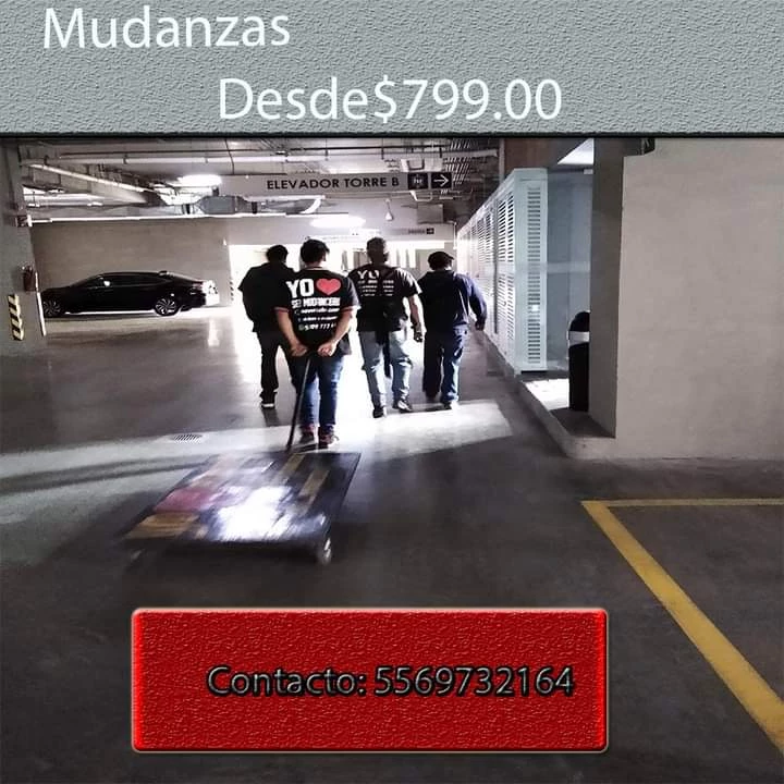 fletes y mudanzas económicas en Gustavo A. Madero_2