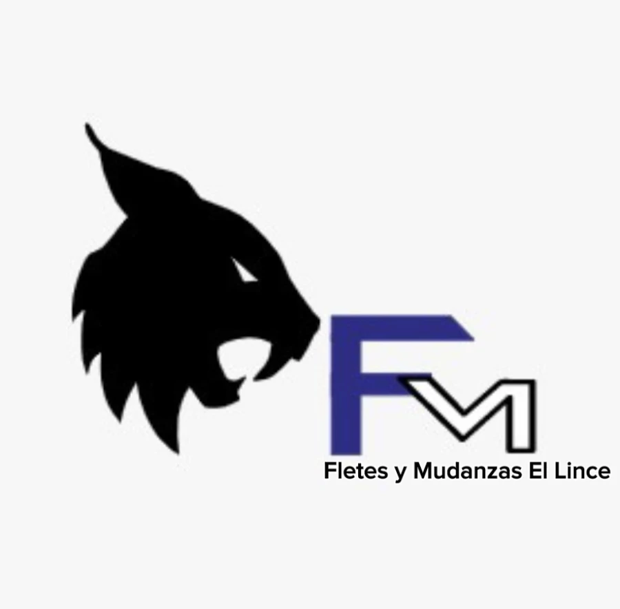 Fletes y Mudanzas El Lince_5