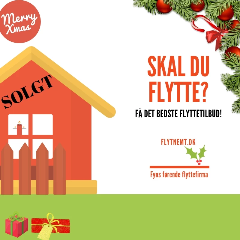 Flytnemt.dk_3