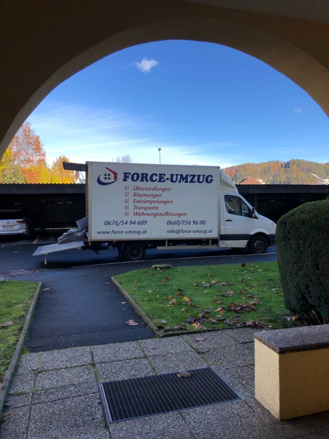 Force-Umzug_1