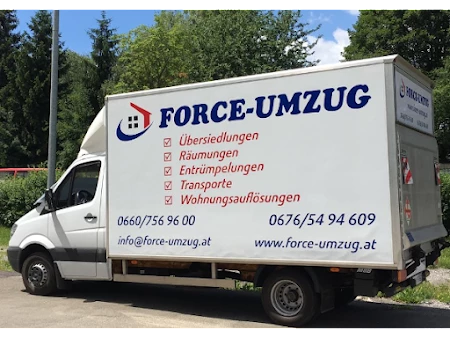 Force-Umzug_3