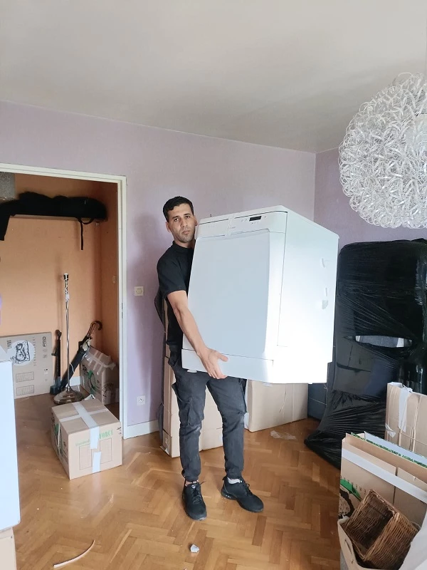 France Déménagement Consulting_3