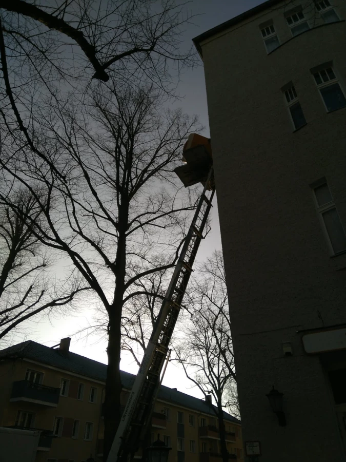 Fuhrbetrieb Ortscheid_2