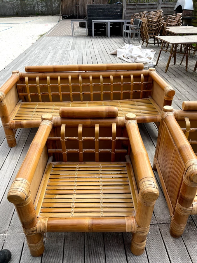 Gepard Entrümpelung_2