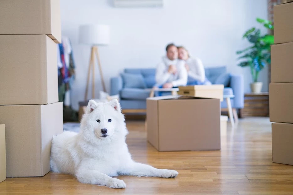 Global Relocations Movers Dubai_4