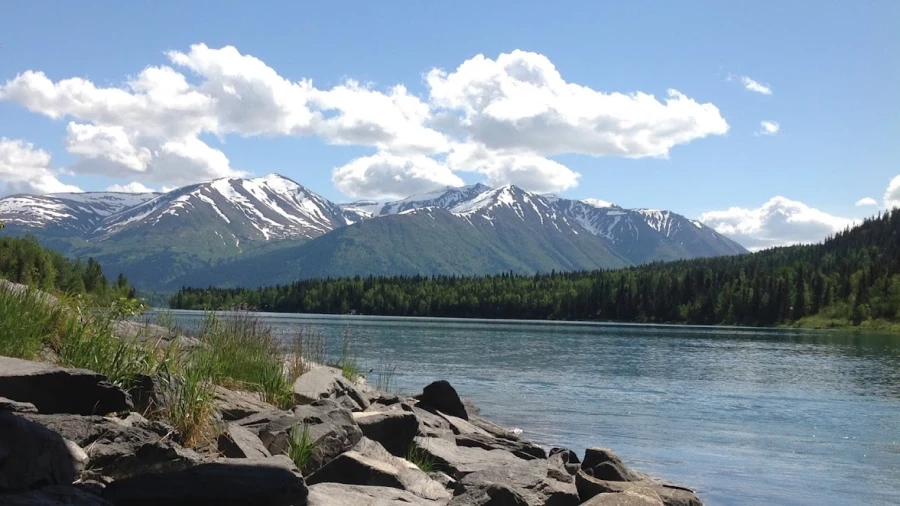 Golden North Van Lines_1