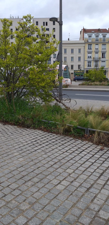 Gonnet Déménagement_2