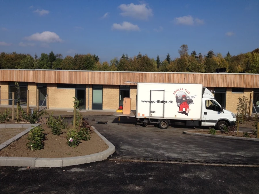 Gorilla Flyt_3