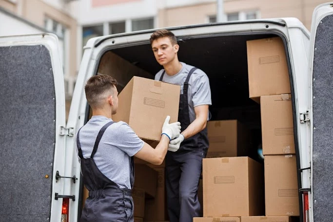 GR8 Removals_1