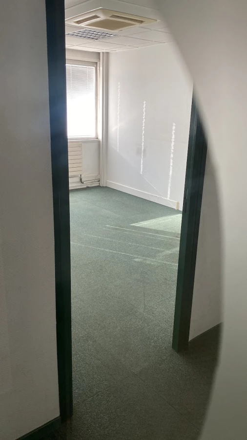 GSG Transport Express_2