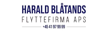 Harald Blåtands Flyttefirma_4
