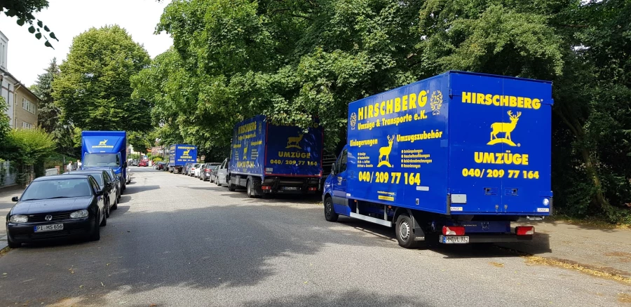 Hirschberg Umzüge_1