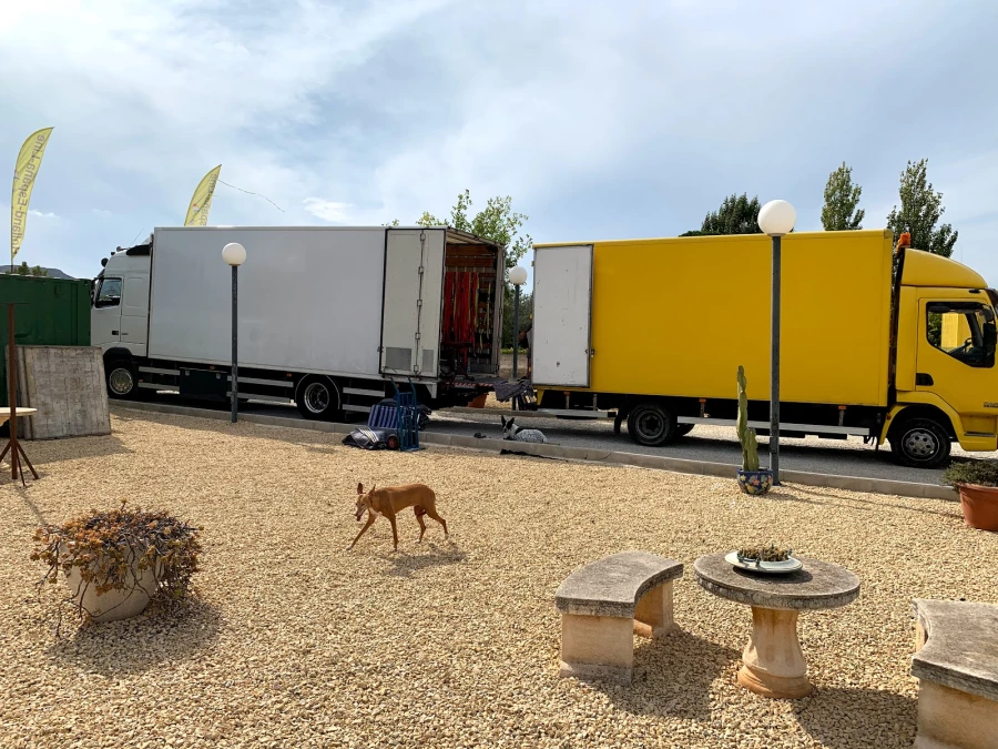 Holland España Line_2