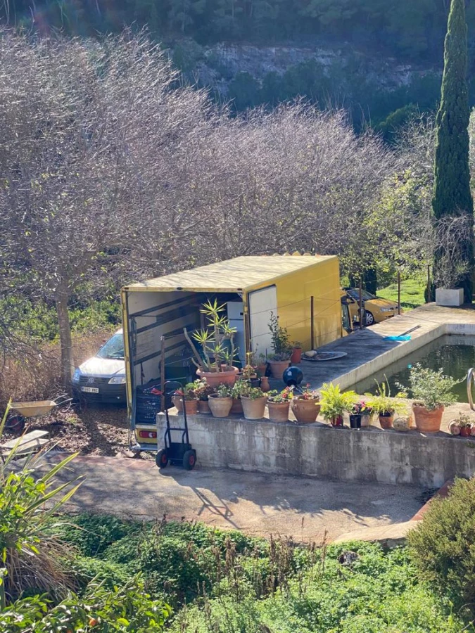 Holland España Line_4