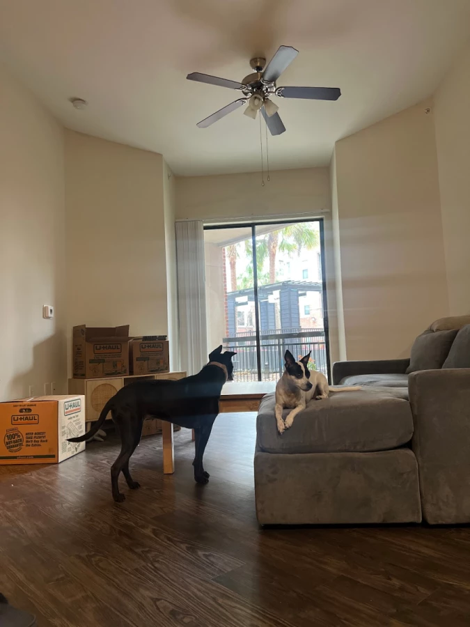 Houston Affordable Movers_4