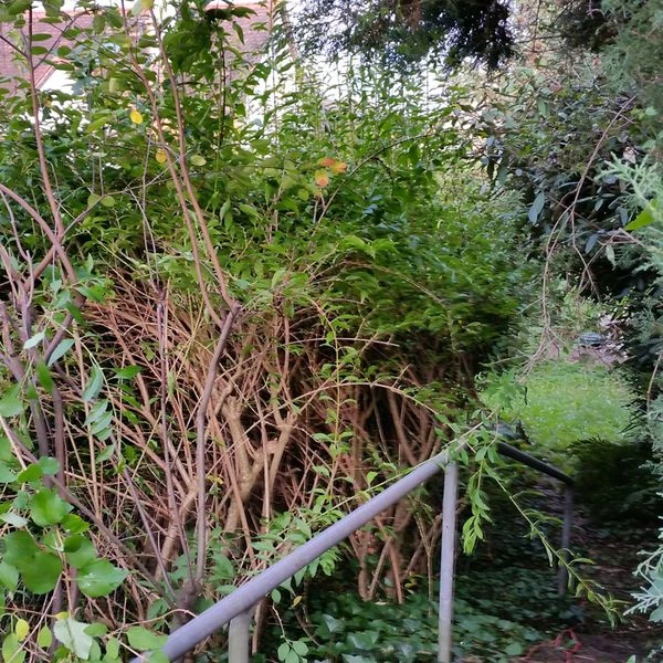 Huthmacher-Dienste_2