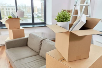 IDT Diamond Removals_3