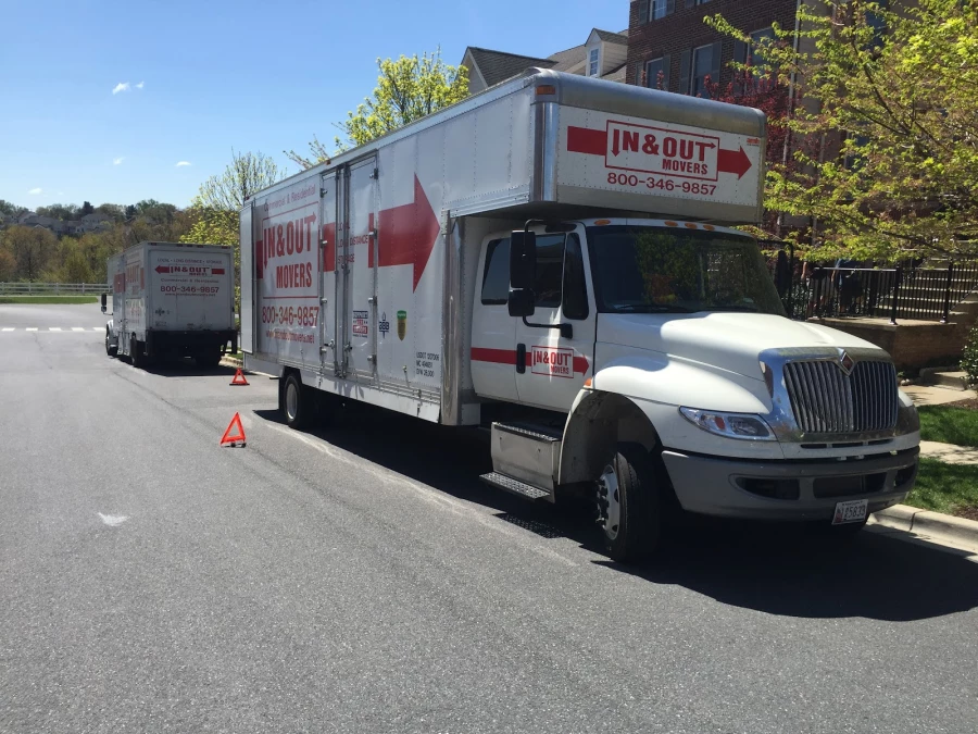 In and Out Movers_2