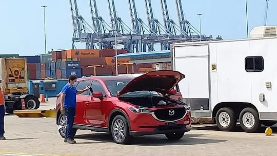 Intercontinental Movings_4