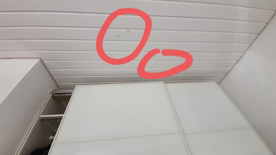 Internationale Möbelspedition Jean Wölfel_3