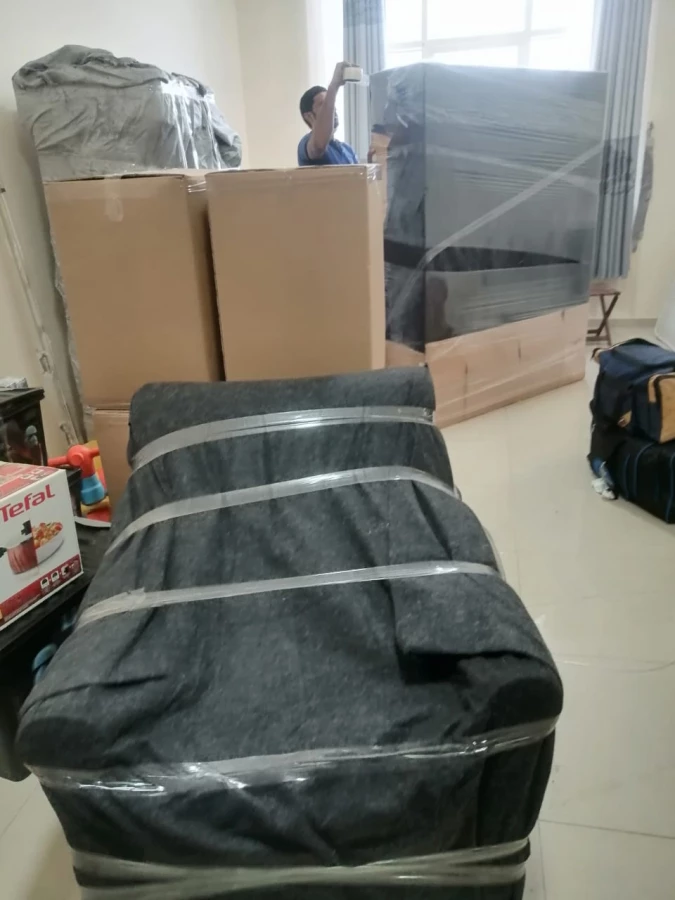 IQ Movers_2