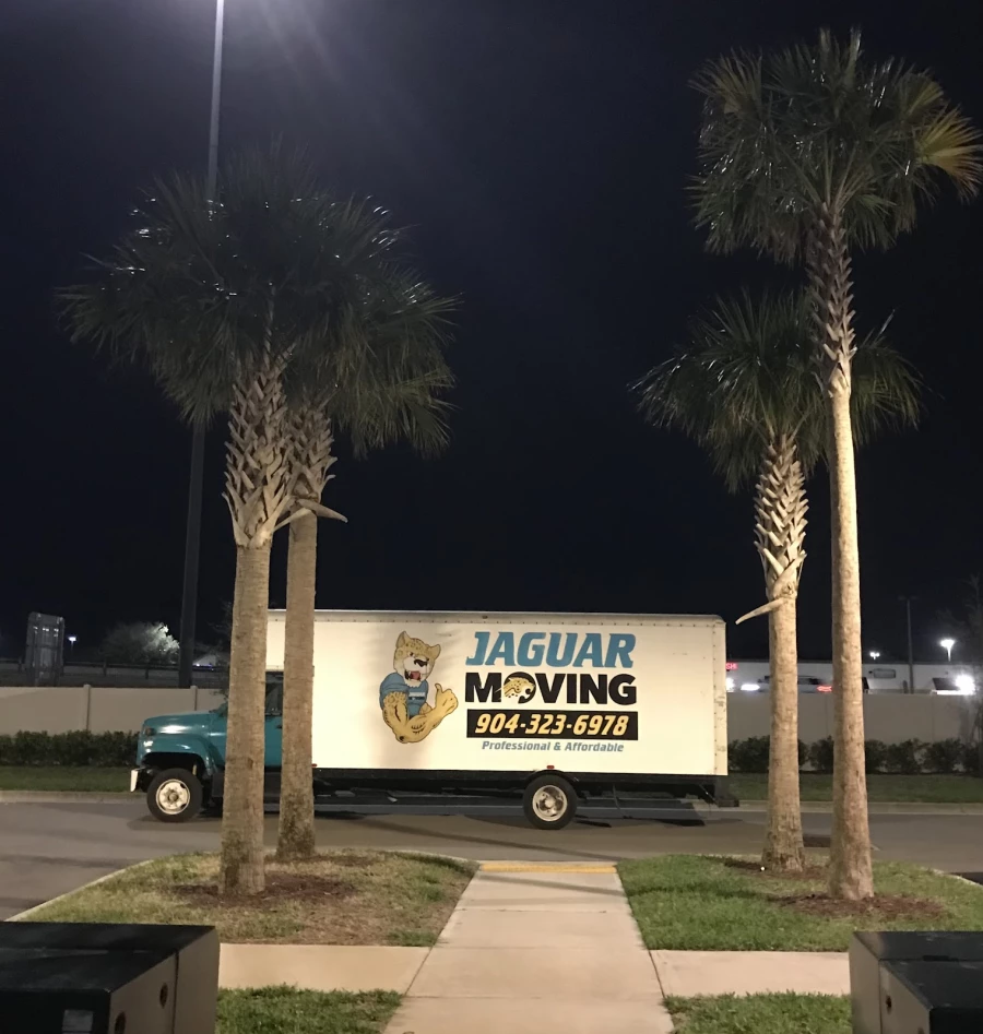 Jaguar Moving_4